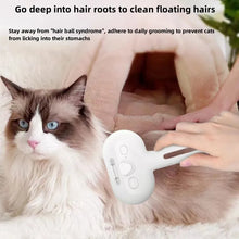 Pet Spray Hair Comb with Built-in Humidifier for Easy Grooming