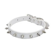 Cool Leather Spiked Collar