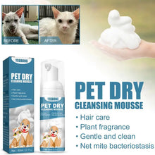 Waterless Cat & Dog Shampoo - No-Rinse Cleaning Mousse for Bathless Grooming