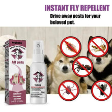 Flea Treatment and Soothing Grooming Spray for Dogs