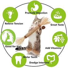 Cat Toys Silvervine Chew Stick - Natural Catnip Toy for Teeth Cleaning and Oral Health