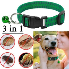 Adjustable Safety Insecticidal Dog Collar