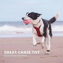 Ultra Durable Squeaky Dog Toy for Aggressive Chewers