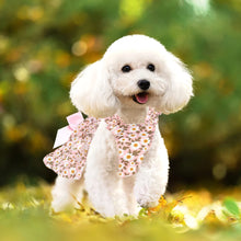 Floral Princess Dress for Small Dogs and Cats