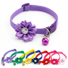 Pet Flower Collar with Bell