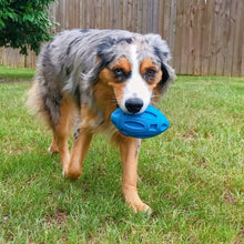 Ultra Durable Squeaky Dog Toy for Aggressive Chewers