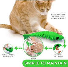 Cat Toothbrush Toy - Durable Hard Rubber for Dental Care and Interactive Play