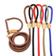 Adjustable Nylon Pet Lead Leash with P Chain