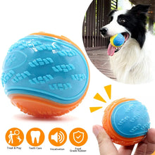 Bite-Resistant Beef-Flavored Rubber Ball for Dogs