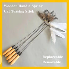 Wooden Handle Spring Cat Teaser Stick with Feather Toy