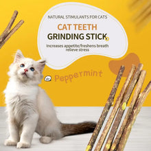 Catnip Pet Cat Molar Chew Sticks