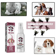 Flea Treatment and Soothing Grooming Spray for Dogs