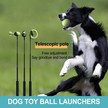 Retractable Dog Toy Ball Thrower