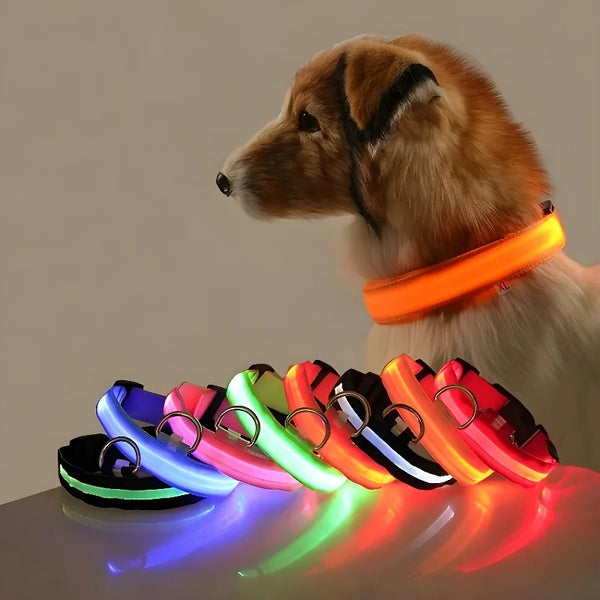 Nylon LED Night Safety Flashing Dog Collar