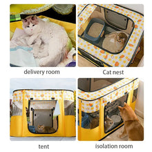 Cat House Delivery Room & Cozy Folding Tent Bed