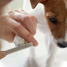 Pet Nail File for Small Dogs and Cats - Wooden Handle Grooming Tool