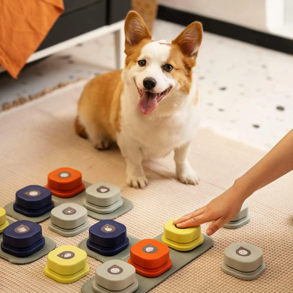 Dog Button Record Talking Pet Communication Toy with Mat and Stickers