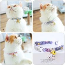 Newborn Cat Collar