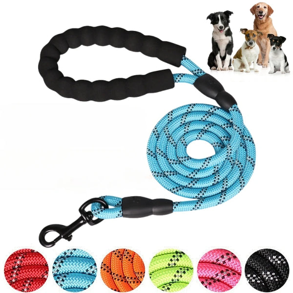 Reflective Nylon Dog Leash with Soft Handle