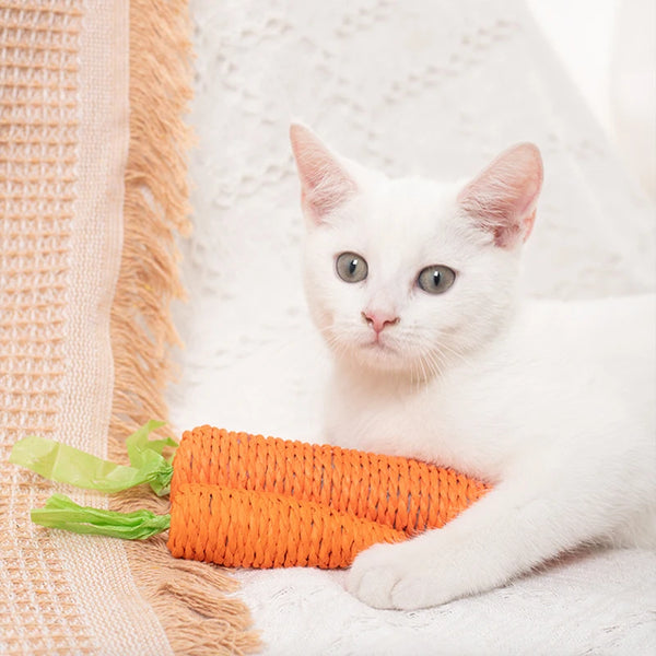 Sisal Carrot Cat Toy - Dental Chew and Teething Toy for Indoor Cats