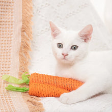 Sisal Carrot Cat Toy - Dental Chew and Teething Toy for Indoor Cats