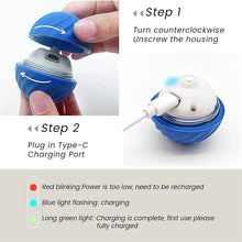 Smart Interactive Bouncing Ball for Dogs