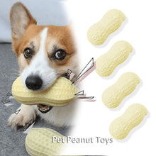 Screaming Rubber Peanut Squeaky Chew Toy for Large Dogs