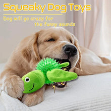 Squeaky Turtle Shape Chew Toy for Dogs