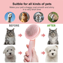 Cat & Dog Grooming Brush with One-Click Hair Removal