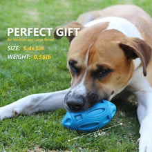 Ultra Durable Squeaky Dog Toy for Aggressive Chewers