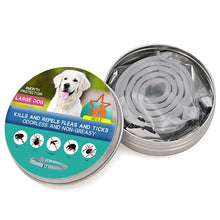 Dog and Cat Anti-Flea & Tick Collar