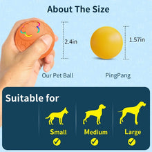 Smart Interactive Rechargeable Pet Ball