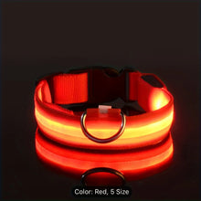 Nylon LED Night Safety Flashing Glow Dog Collar