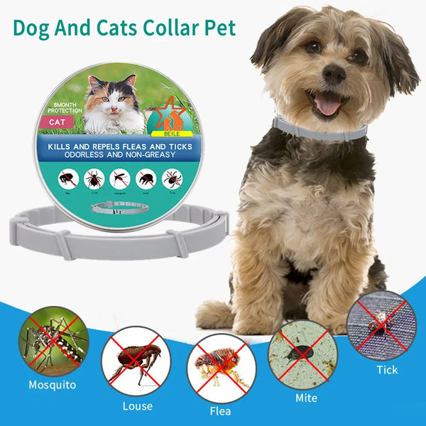 Retractable Pet Dog & Cat Anti-Parasitic Collar