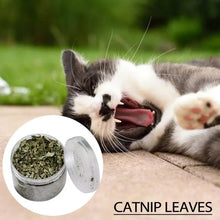 Organic Natural Catnip - Premium Catmint for Hairball Elimination & Vitamin Supplement