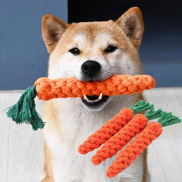 Durable Carrot Rope Chew Toy for Dogs