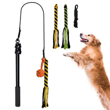 Retractable Dog Stick Interactive Play Set